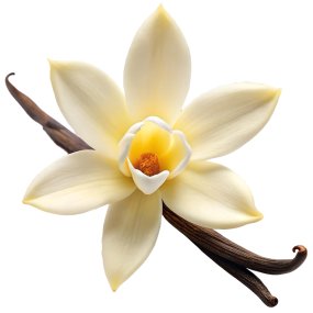 Esencia aromatica de vainilla extra