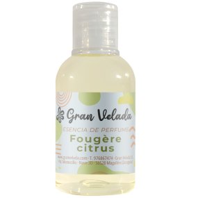 Essence de parfum fougère citrus en gros