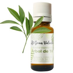 Frasco de aceite esencial de árbol de té