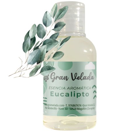 Essence aromatique d’eucalyptus