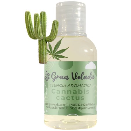 Esencia gv cannabis cactus