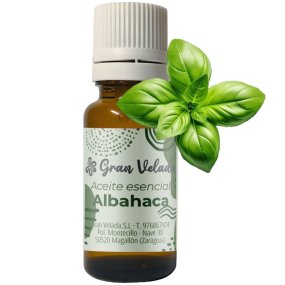 Aceite esencial de albahaca Aceite esencial de albahaca