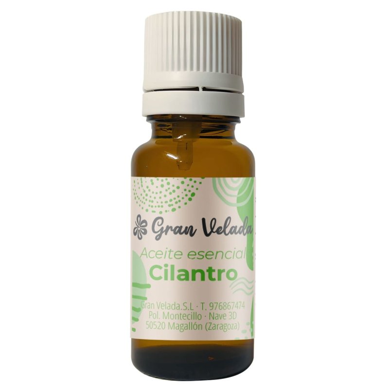 Aceite esencial de cilantro