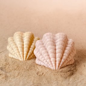 Molde concha sencilla Molde concha sencilla
