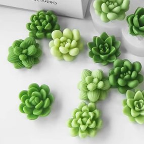 Moule 7 succulentes
