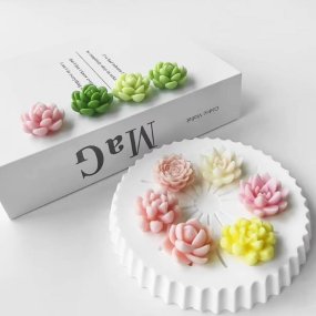 Moule 7 succulentes Moule 7 succulentes