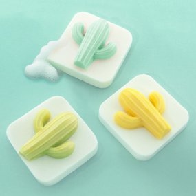 Moule savon cactus
