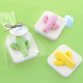 Kit como fazer sabonete de cacto. Materiais e instruções