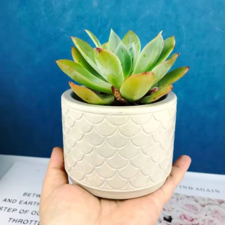 Molde macetero escamas