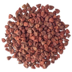 Sementes de urucum