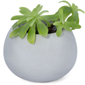 Moule basic grand pour pots en ciment