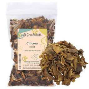 Raiz de chicória