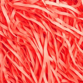 Chips de papier de saumon fluorescentes