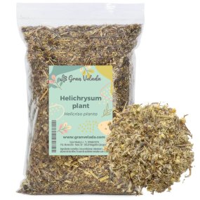 Hélichryse plante coupée