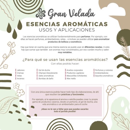 Infografia esencia batida de coco