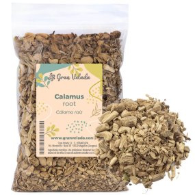 Calamo raiz Calamo raiz