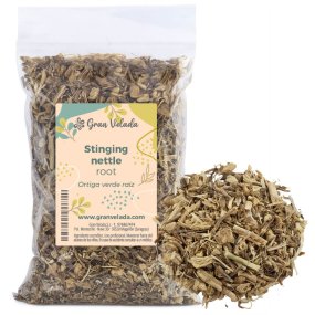 Ortiga verde raíz Ortiga verde raíz