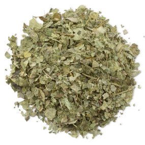 Moringa hojas