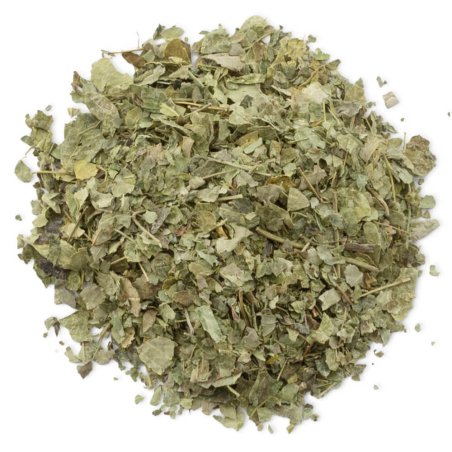 Moringa hojas