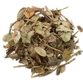 Feuilles de myrtille