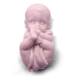 De la moisissure pour faire mordre le savon bébé De la moisissure pour faire mordre le savon bébé