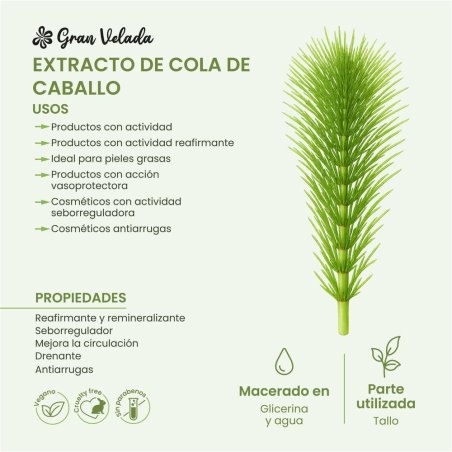 Extracto de cola de caballo infografía