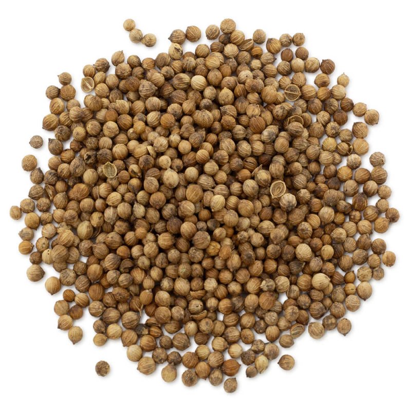 Muestra coriandro semillas