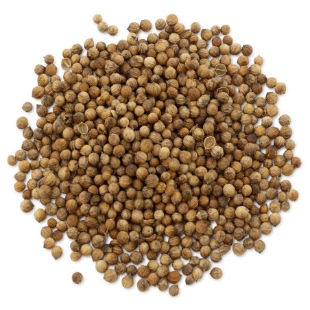 Muestra coriandro semillas