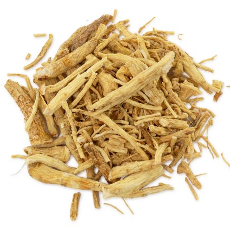 Muestra Ginseng panax raíz
