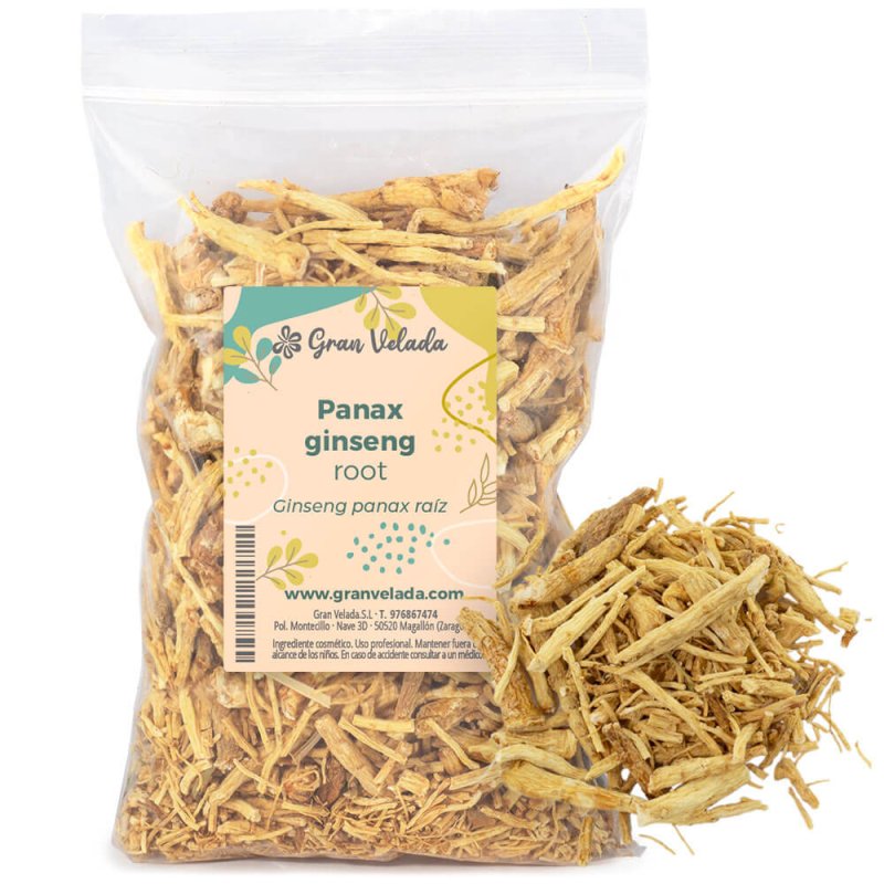 Ginseng panax raíz