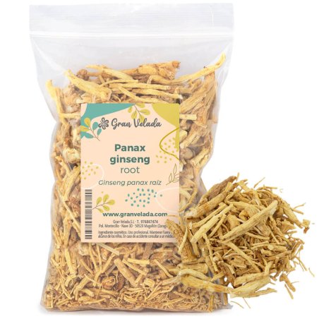 Ginseng panax raíz