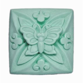 Papillon de la moisissure à savon de la forêt