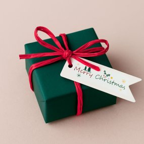 Estandarte merry christmas