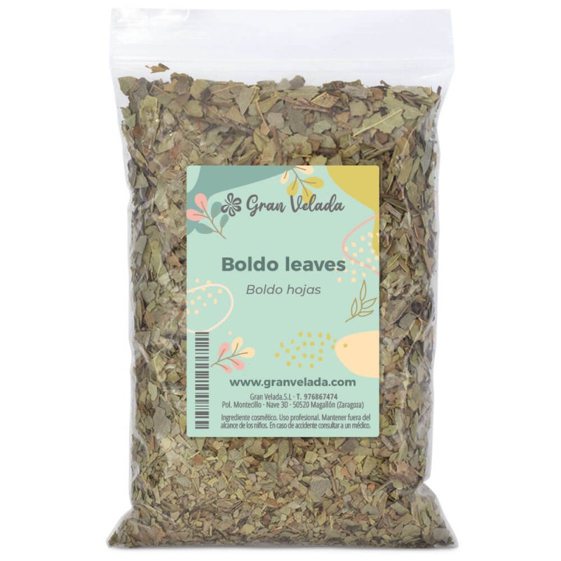 boldo en hojas