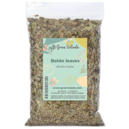 boldo en hojas