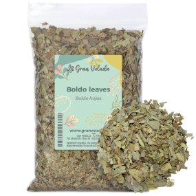 Boldo feuilles