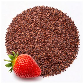 Exfoliation des graines de fraise 1000 microns