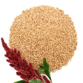 Graines d’amarante