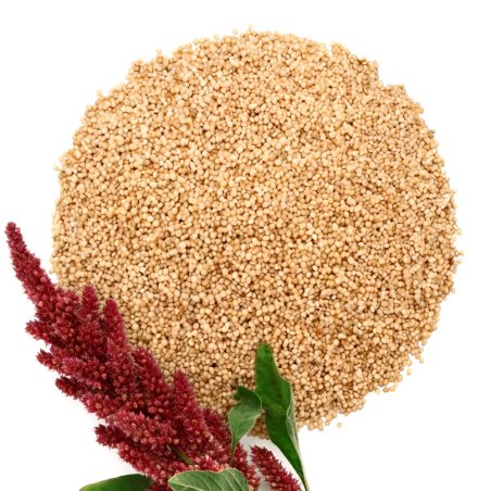 Semillas de amaranto