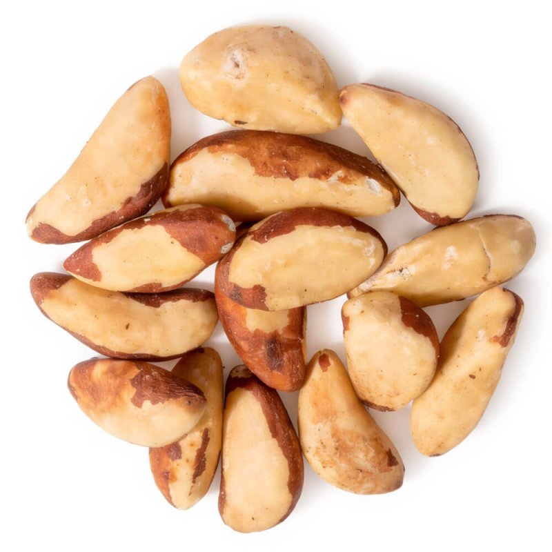 fruto, coco de brasil