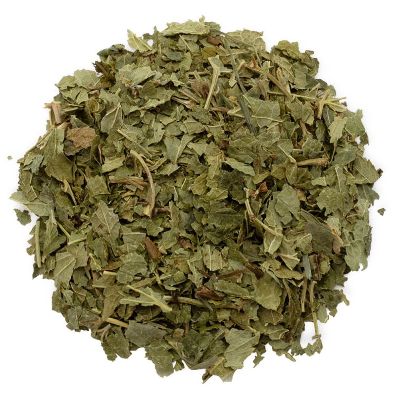 Hojas de Grosellero negro