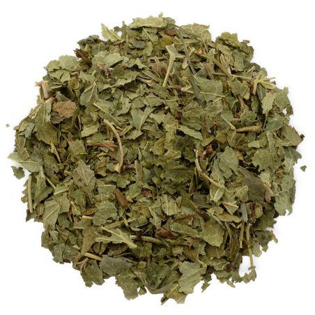 Hojas de Grosellero negro