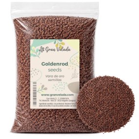 Graines de verge d'or