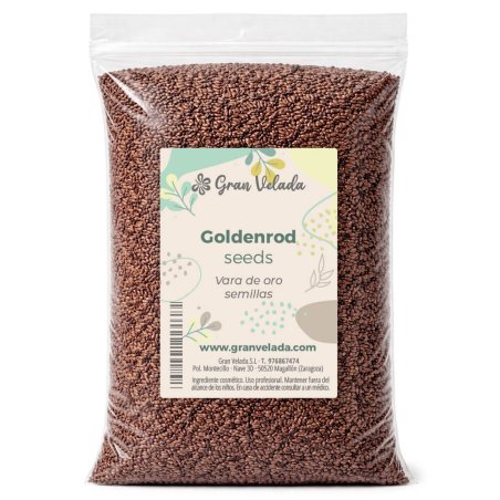 Vara de oro semillas, para cosmetica