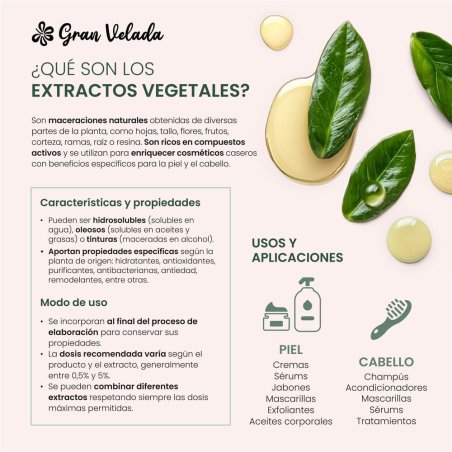 Extracto vara de oro glicerinado