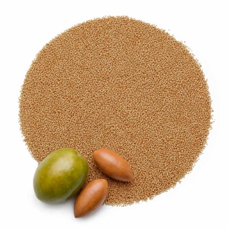 Particulas exfoliantes hueso de aceituna