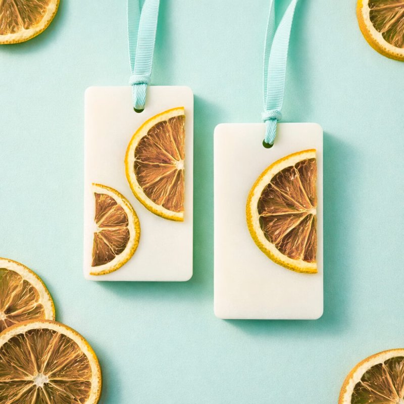 rodajas limon decorar