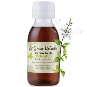 Extrato de ortosifão hidrossolúvel