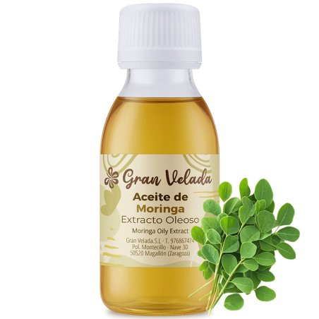 Extracto de moringa oleoso