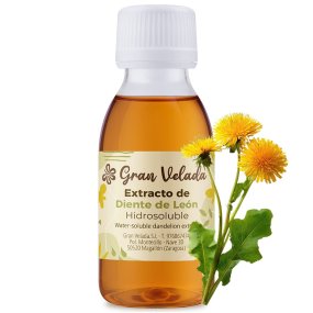 Extracto de diente de león hidrosoluble